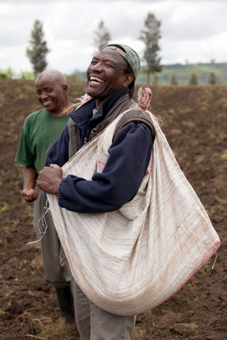 Global Development: Global development professionals