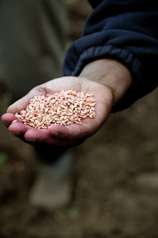 Global Development: Global development professionals