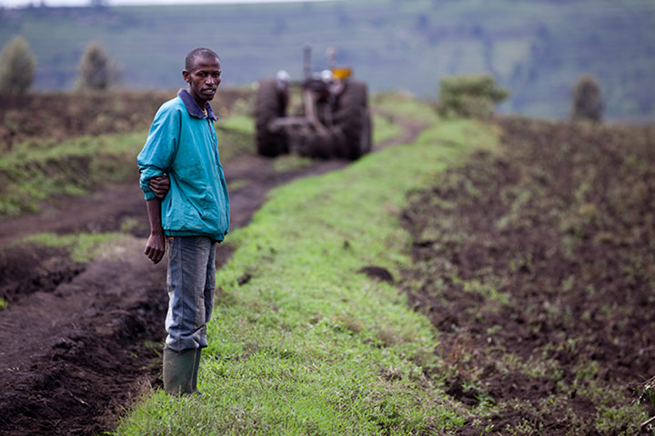 Global Development: Global development professionals