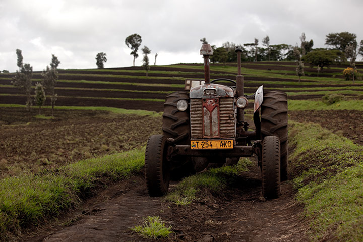Global Development: Global development professionals