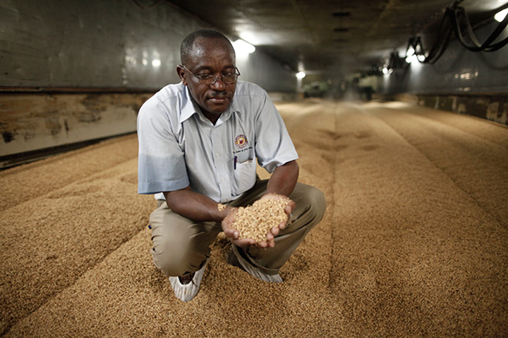 Global Development: Global development professionals