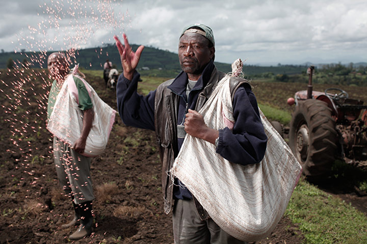 Global Development: Global development professionals