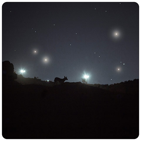 Deutsche Borse: Cristina de Middel's Bongo, from the series The Afronauts, 2012