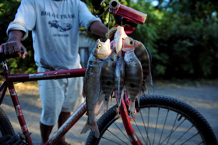 24 hours: Tipitapa, Nicaragua: A man carries fish given to him by fishermen