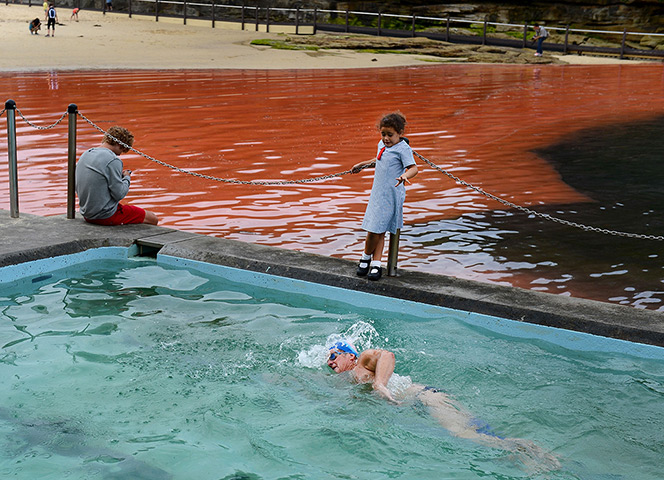 24 hours: Sydney, Australia: red algae bloom discolours the water at Clovelly Beach