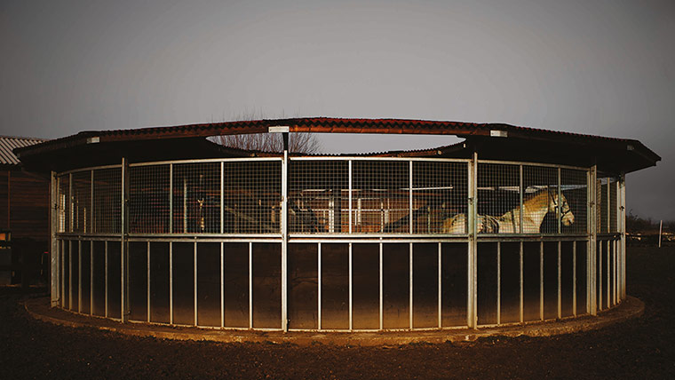 New Contemporaries: George Eksts's Circumspects, 2011