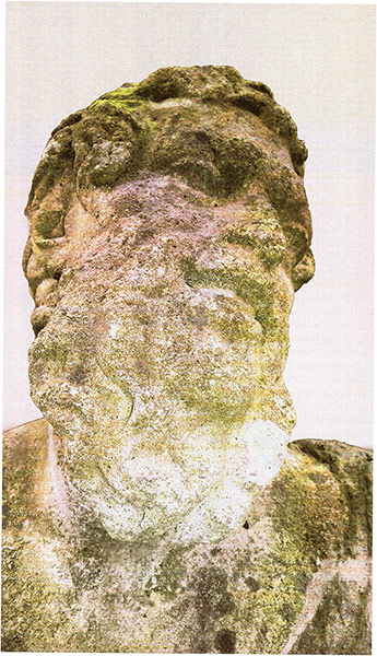 New Contemporaries: Samuel Taylor, Portrait of Silenus 2, 2012