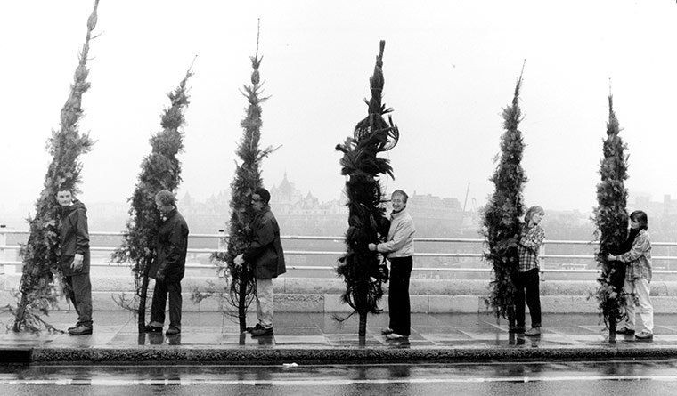GNM Archive Christmas: Christmas trees lined up