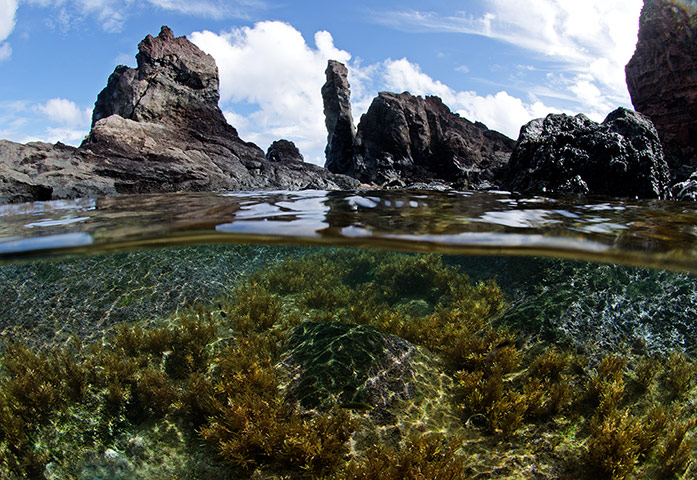 Pitcairn: St Paulís pools, Pitcairn