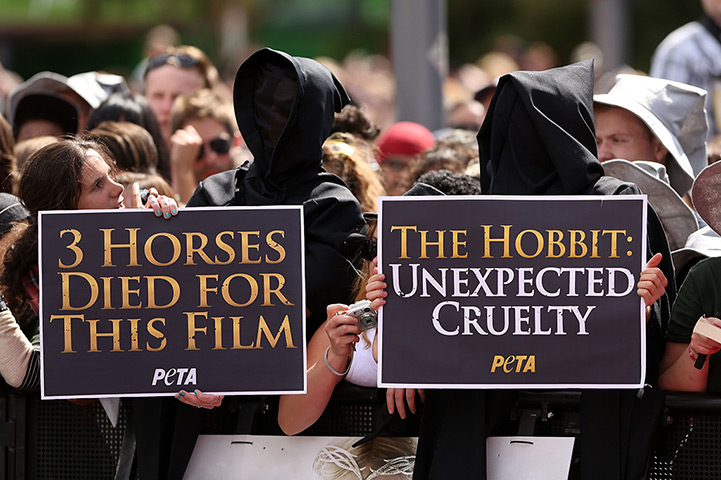 The Hobbit premiere: Peta protesters stand in the crowd at the The Hobbit premiere