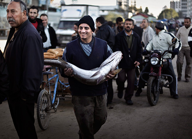 24hours in pictures: A Palestinian fisherman holds a shark, brought from Gaza sea