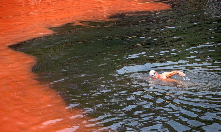 Sydney algae: A swimmer heads towards a red algae bloom