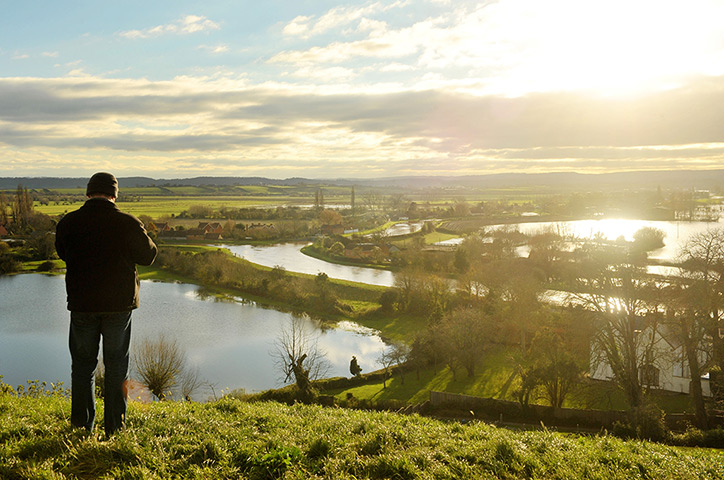 Floods clear-up: A man looks out over floodwater in Somerset