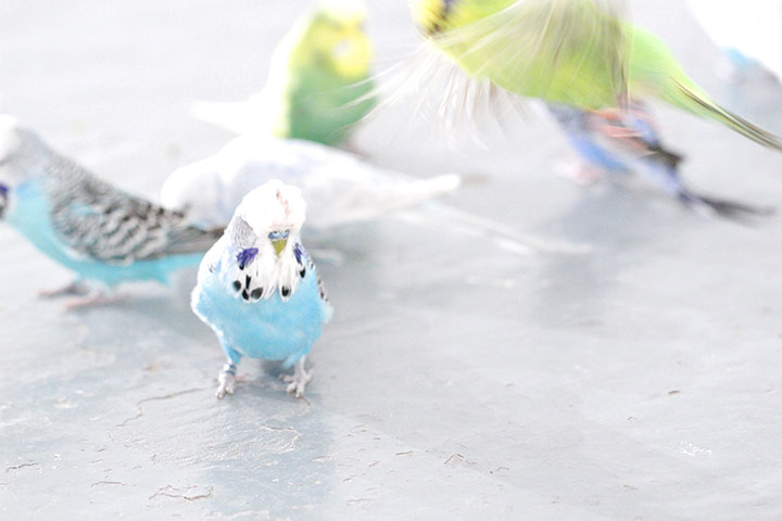 Exhibitionist0112: Victoria Lucas