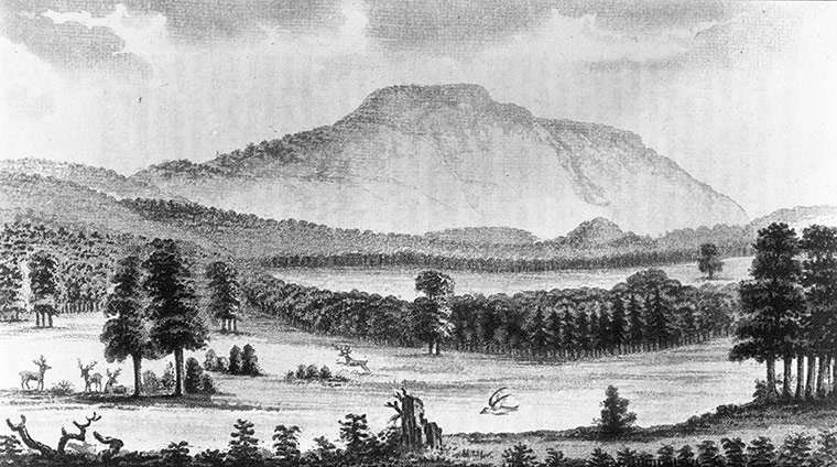Arkansas: Cavaniol Mountain