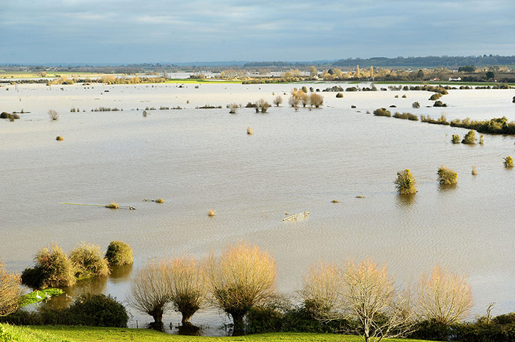 Week in Wildlife: Autumn weather November 28th