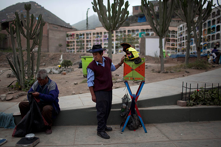 24 hours: Pedro Gomez and his pet monkey in Lima, Peru