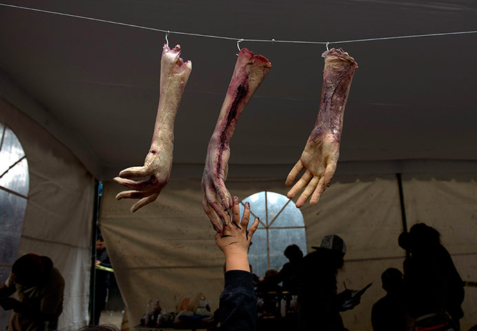 Zombie Walk: Zombie Walk