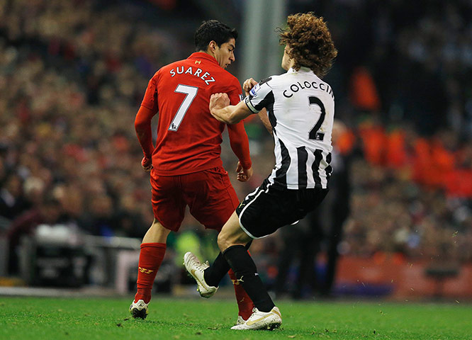 footy2: Newcastle United's Coloccini