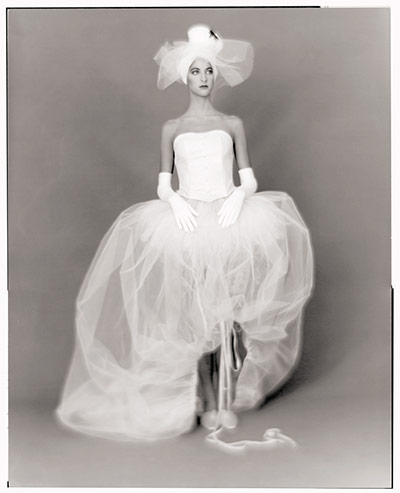 Terence Donovan: Terence Donovan