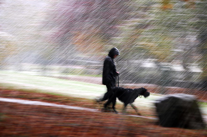UK weather: Shepton Mallet, Somerset: The first snow of winter arrives