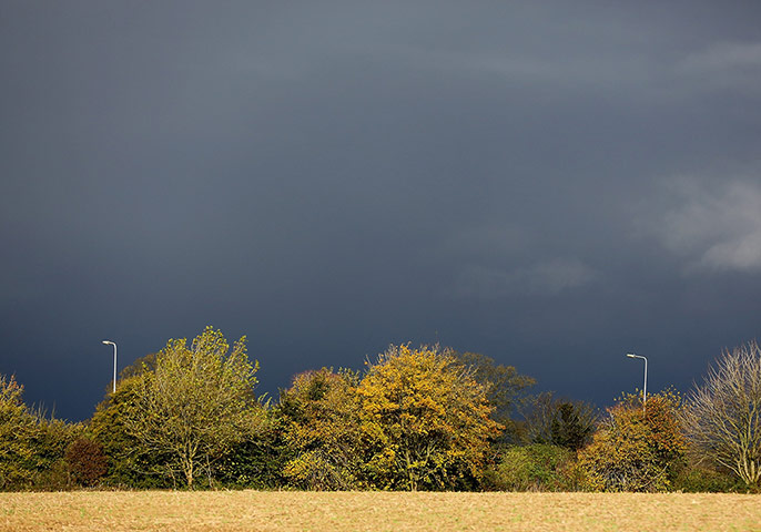 UK weather: The Countryside Displays Its Autumn Colours
