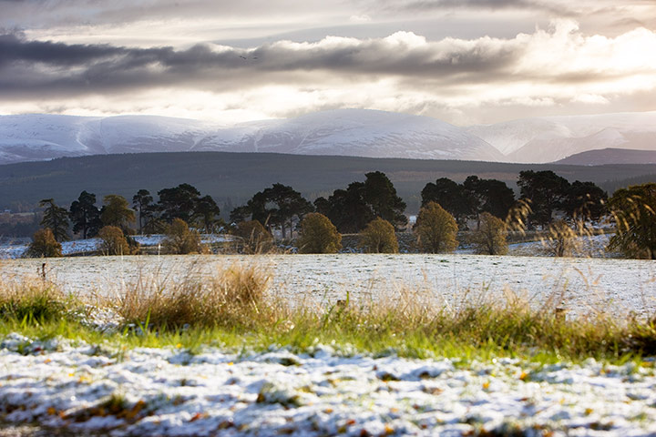 UK weather: The Cairngorms, Scotland: The first falls of snows arrive near Kingussie