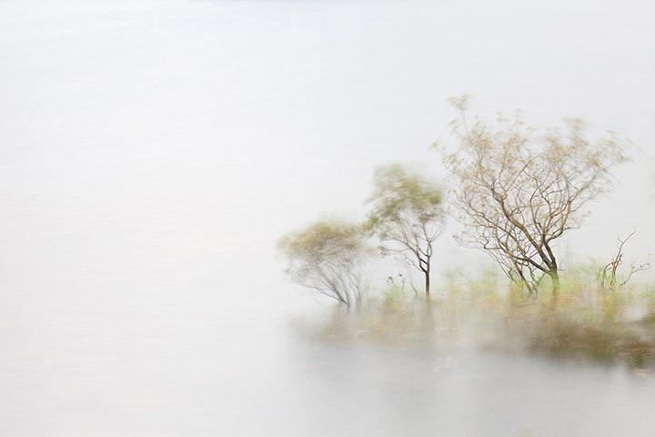 2012 GDT : European Wildlife Photographer