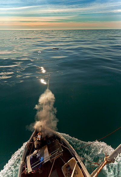 2012 GDT : European Wildlife Photographer