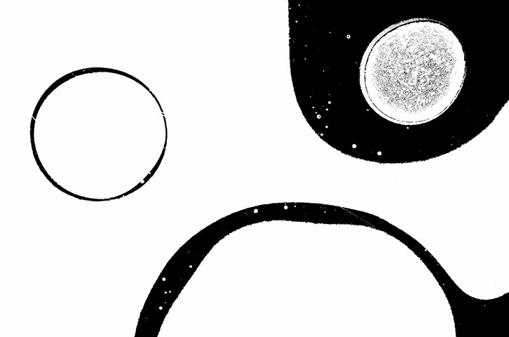 2012 GDT : European Wildlife Photographer