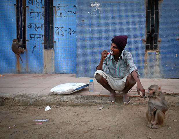 24 hours in pictures: A man with his performing monkey brushes his teeth outside a public toilet