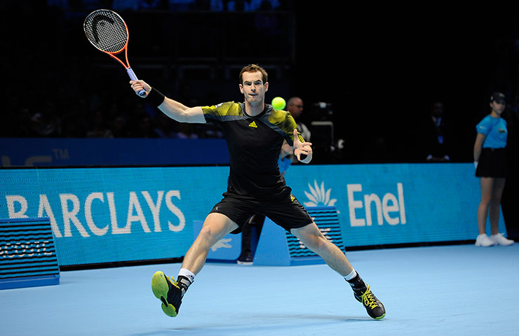 Murray v Berdych: Murray forehand