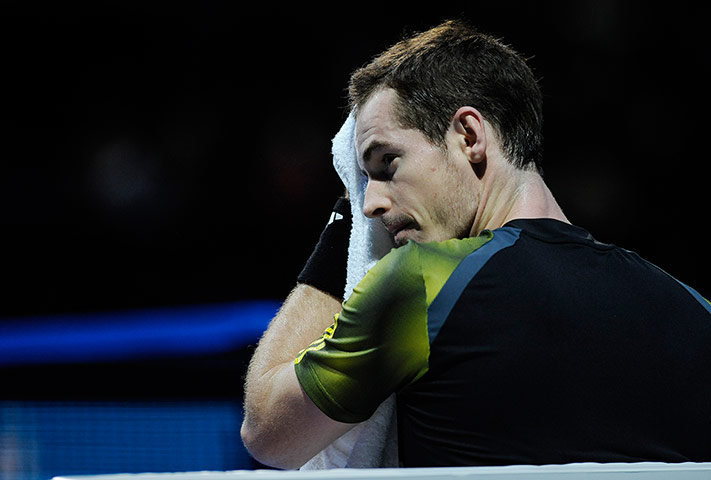 Murray v Berdych: ATP World Tour Finals tennis