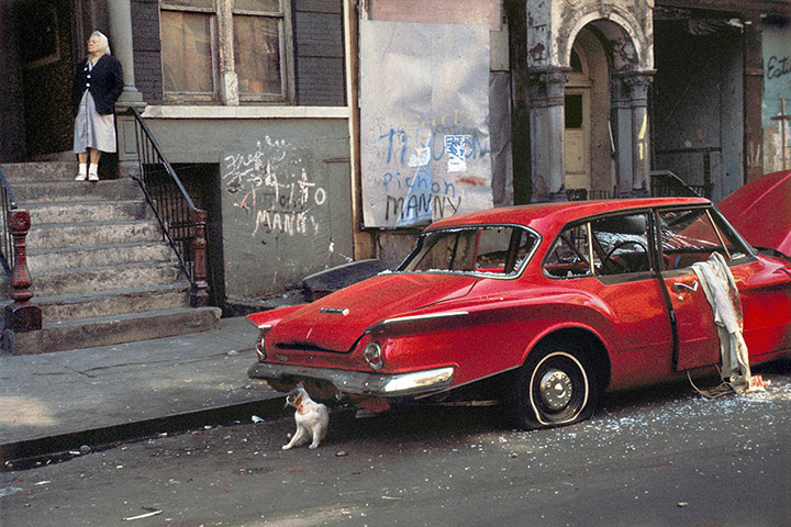 Cartier-Bresson: Cat next to red car, New York, 1973 by Helen Levitt