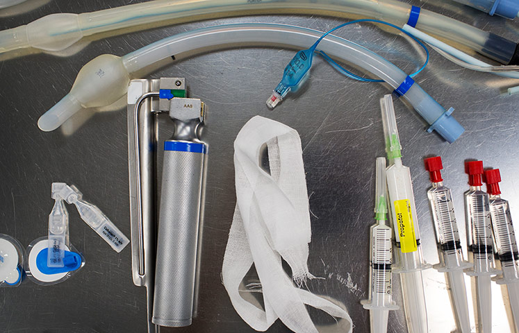 Cat operation: 'An operation, costing £3,000