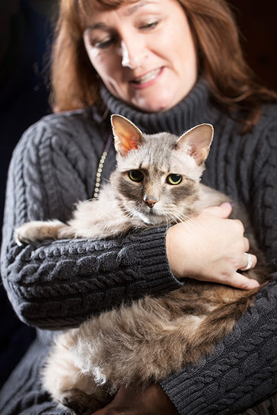 Cat operation: 'It's been a complete success