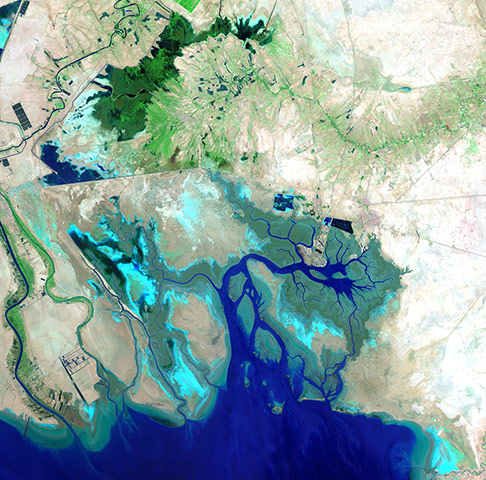 Satellite Eye on Earth: northern end of the Persian Gulf