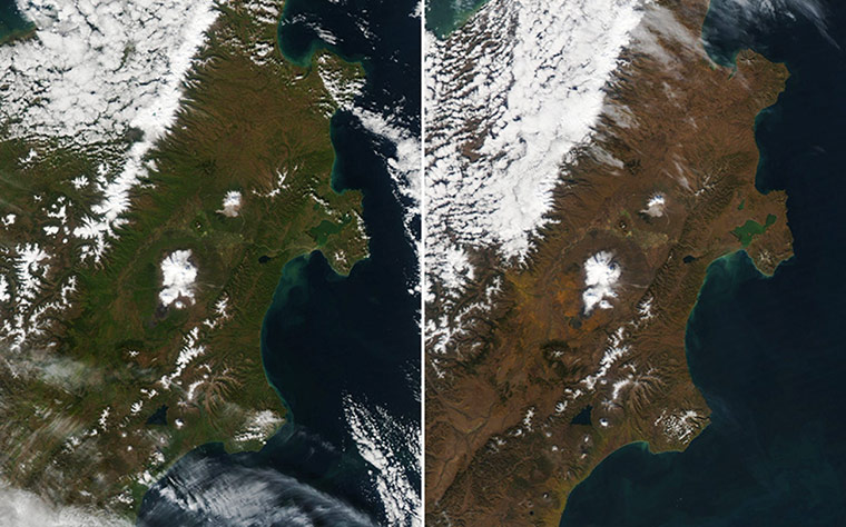 Satellite Eye on Earth: taiga forests of the Kamchatka Peninsula