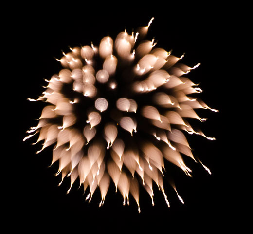 Bonfire galler picture n