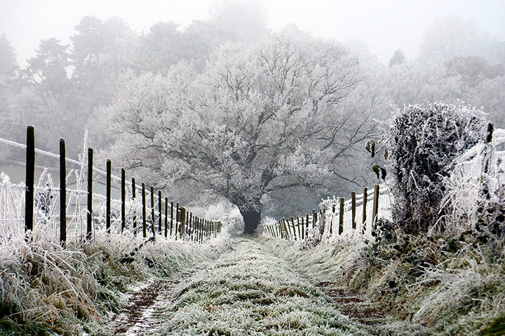 Your Pictures: Iced: English winter at its icy best