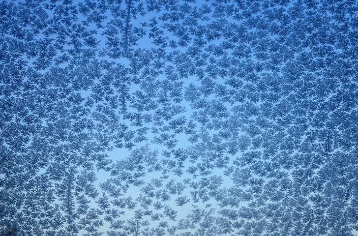 Your Pictures: Iced: Ice crystals on my window making a magical pattern against the blue sky