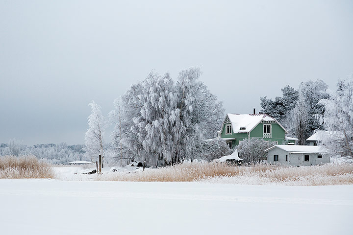 Your Pictures: Iced: Beach front houses ice locked, taken on walk onto the frozen sea Finland