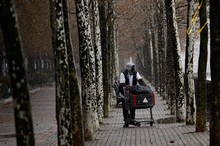 New York Snow: New York Snow