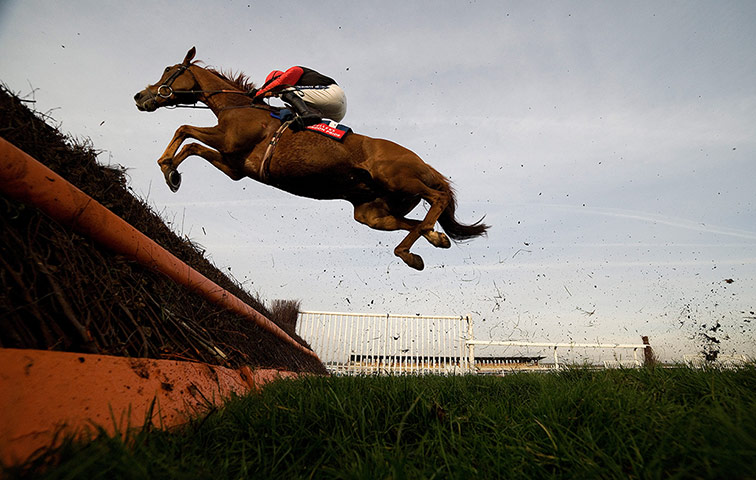 20 Photos: Ruby Walsh riding There's No Panic take a huge leap at a fence at Newbury