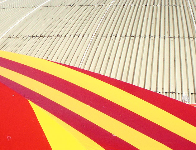 Green Shoots: Urban Birds