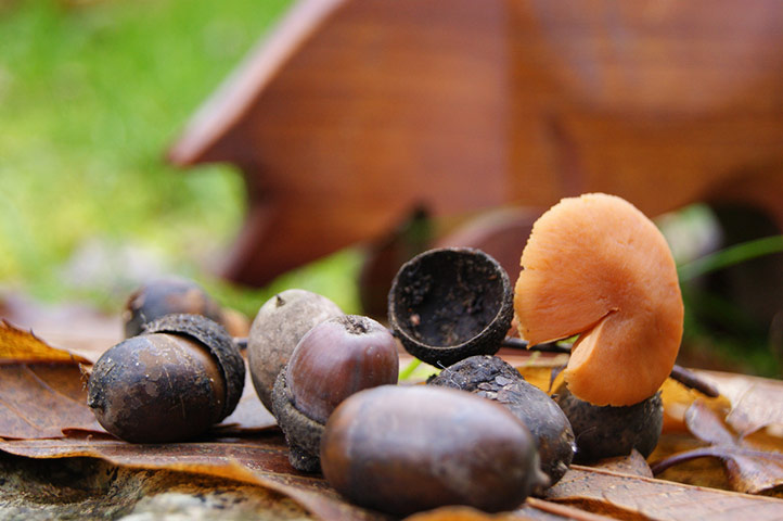 Guardian Camera Club: Chris Grimwood participates in the depth of field assignment