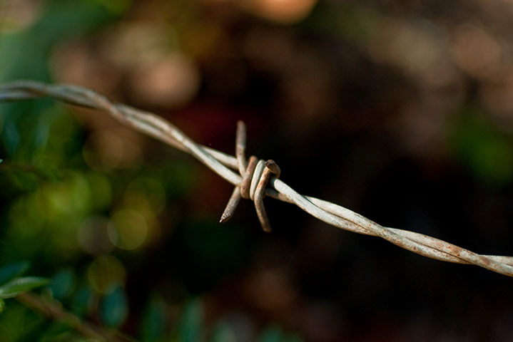 Guardian Camera Club: Eric Hands participates in the depth of field assignment
