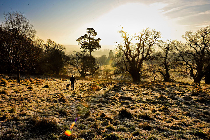 Cold weather: A dog walker makes her way through Ashton Court Estate