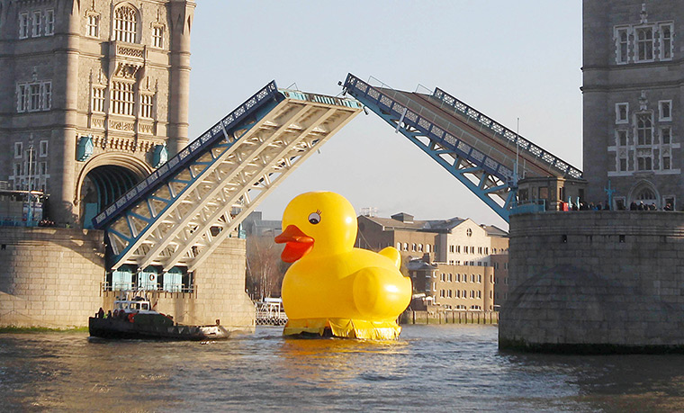 Duck's progress: A giant 50 foot rubber duck floats down the Thames under Tower Bridge