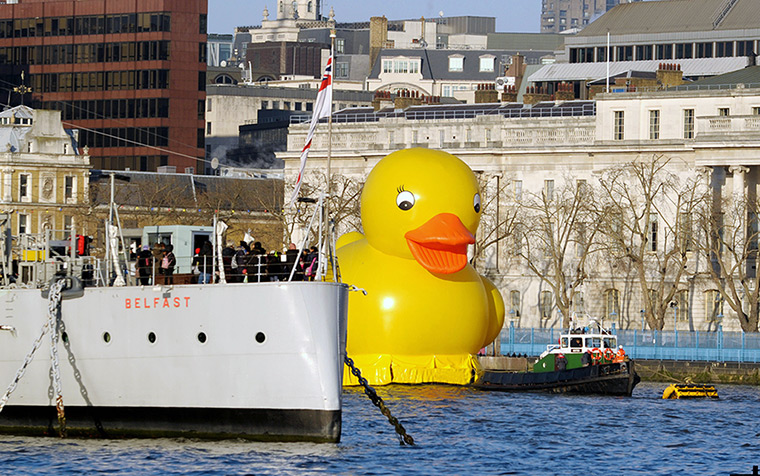 Duck's progress: Past HMS Belfast